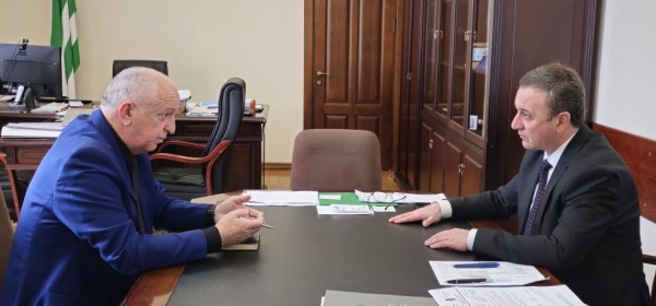 Владимир Делба провёл рабочу встречу со Львом Квициния