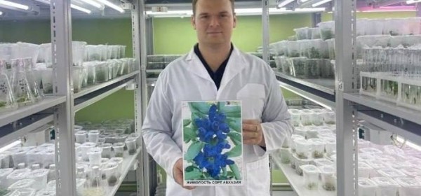 Аԥсны иҭаргалеит мичуринтәи афархьчықь раԥхьатәи аҽаҩра