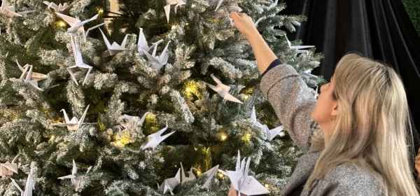 «Ашанаҵла – 2025»: ахԥатәи ашықәсҿыцтәи агәыҳалалратә акциа хацыркхоит ԥхынҷкәынмза 23 рзы.