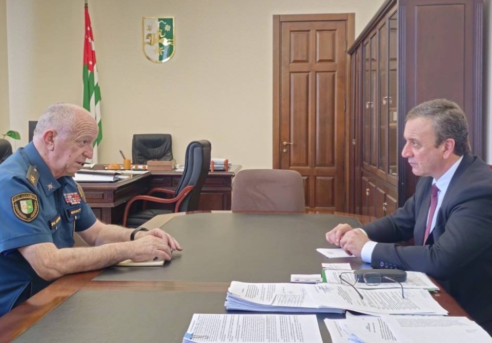 Делба и Квициния обсудили работу МЧС