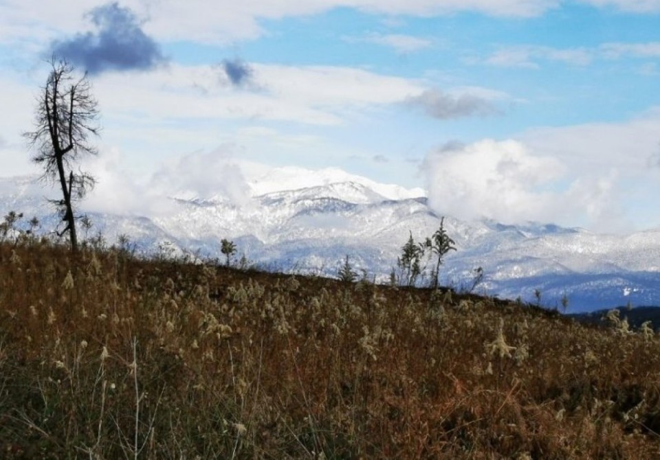Специалисты«РосАгрохимслужбы» впервые провели агрохимическое и экологическое обследование земель в Абхазии