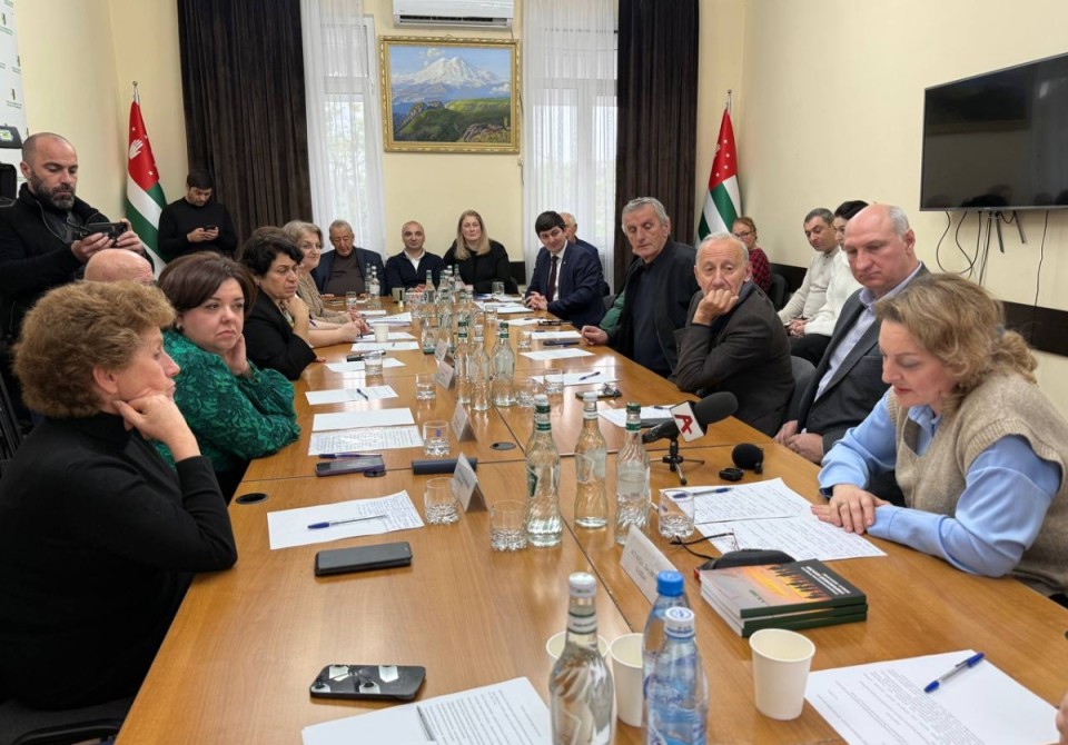 Вопросы миграционной политики Абхазии осудили в Общественной палате