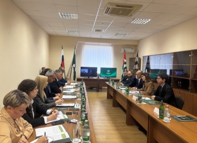 Таможенные службы России и Абхазии обсудили вопросы сотрудничества