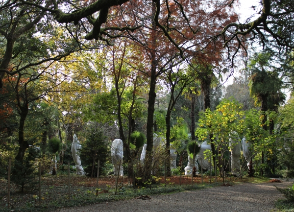 Сухумский ботанический сад зимой