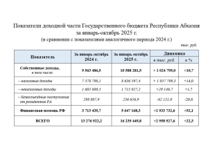 Собственные доходы Абхазии за 10 месяцев составили более 16,2 млрд рублей