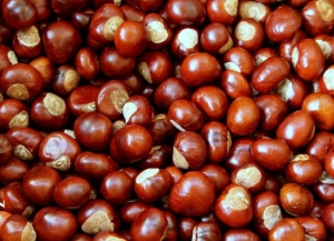 Абҵарамза 15 рзы Аҟәа ақалақь аҿы ахьа Амш азгәарҭоит.