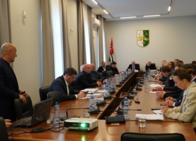 Презентацию по теме реформирования электроэнергетики Абхазии провели в Парламенте            