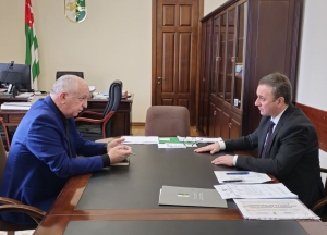 Владимир Делба провёл рабочу встречу со Львом Квициния