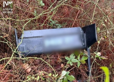 Аԥырҩы дызҭам ахархәага Гагра араион аҿы икаҳаит