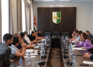 Вопросы инвестиций в экономику Абхазии обсудили в Парламенте      