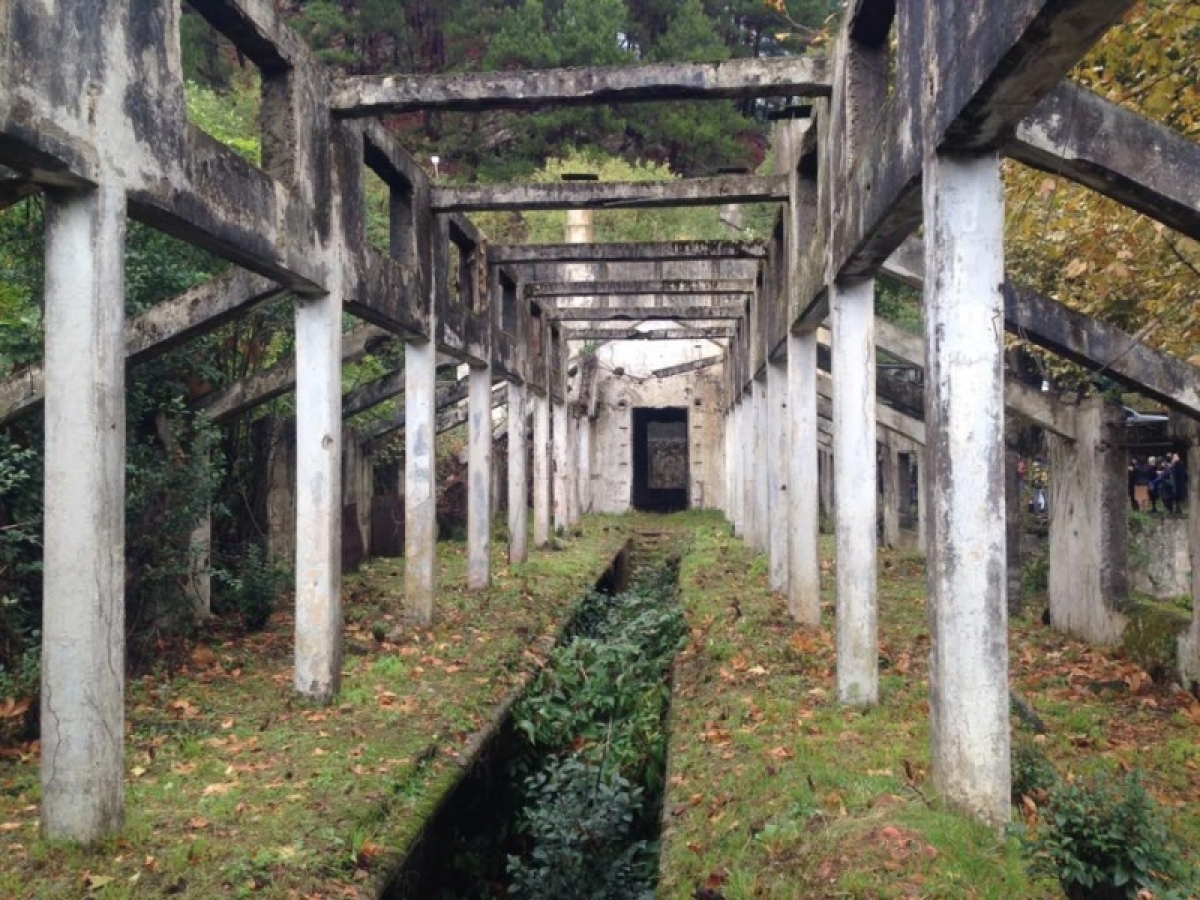 В Гагре приступили к археолого-эксгумационным раскопам