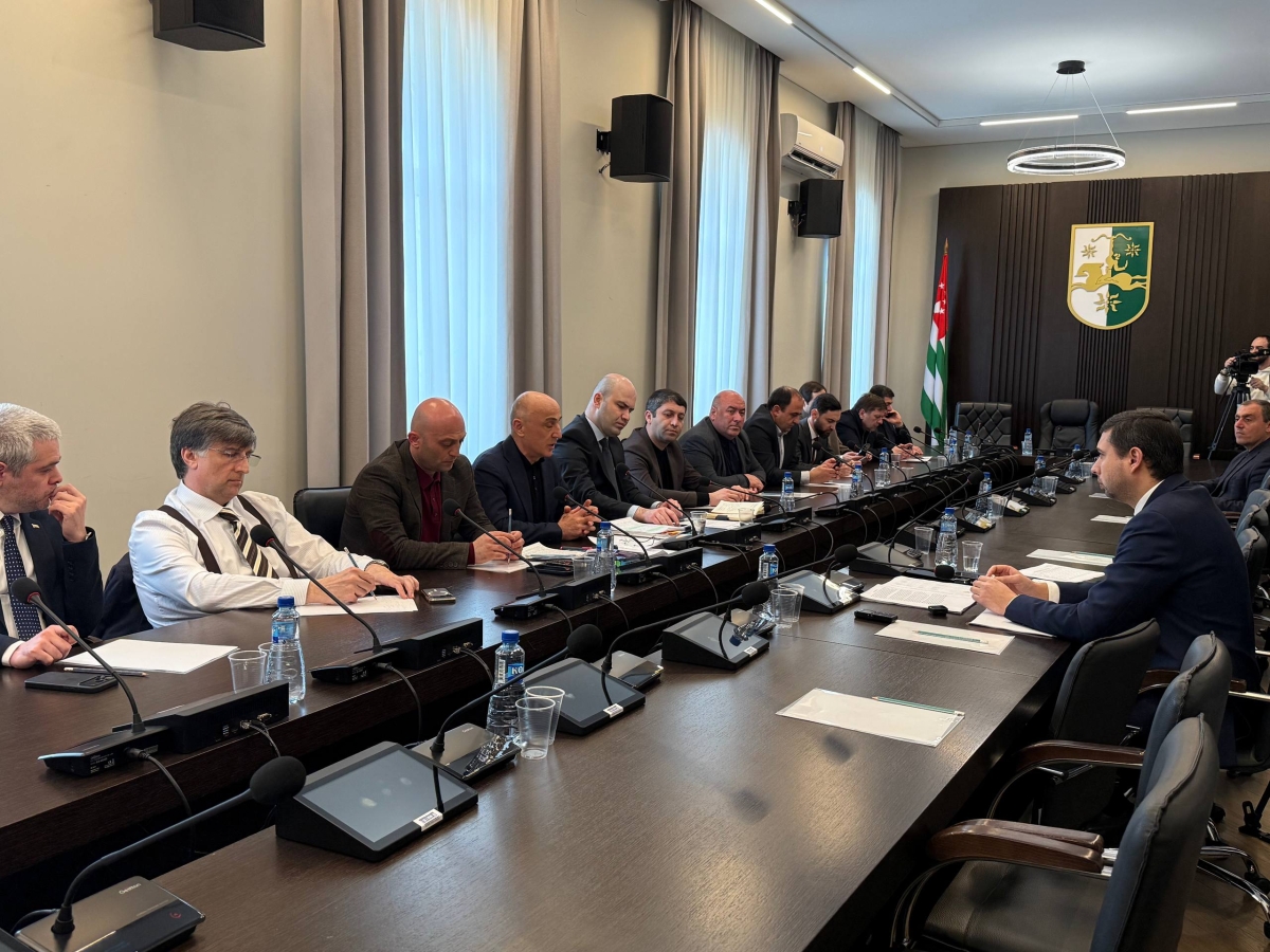 Министр экономики Миквабия: «Мы развиваем рыночную экономику с государственным контролем в ключевых сферах»      