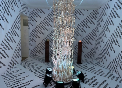 Выставка No harm художниц Апщи Хагба и Дианы Хинтба открылась в Сухуме