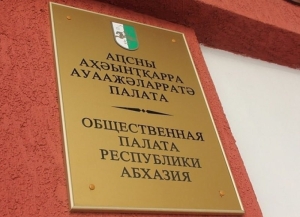 Общественная палата поддерживает инициативу президента об изменении избирательной системы