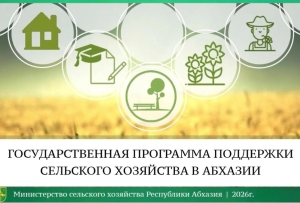 В Минсельхозе приступили к регистрации, учету и обработке заявок на участие в госпрограмме