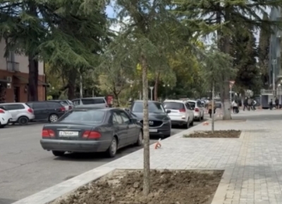 Более 200 деревьев высадили в столице в 2026 году