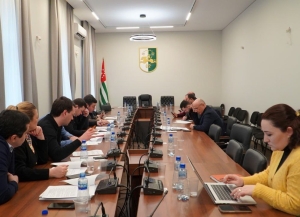 В Парламентском комитете рассмотрели проект закона «О стратегических объектах Республики Абхазия»