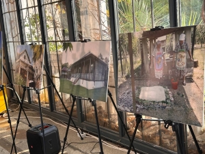 День каштана в четвертый раз отмечают в Сухуме