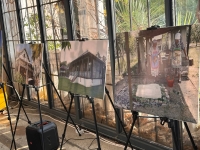 День каштана в четвертый раз отмечают в Сухуме