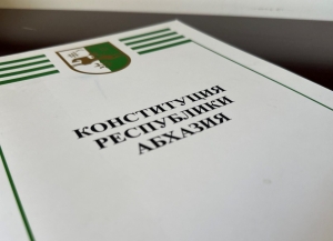 Общественная  палата  подготовила заключение по концепции конституционно-правовой реформы политической системы власти Абхазии