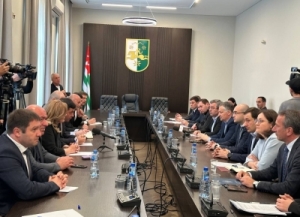 Жәлар Реизара-Апарламент аҿы ахәыҷқәа рзы Урыстәылатәи Афедерациа иаку аԥаратә цхыраагӡа зауа атәылауаа раанкылара иадҳәалоу аҭагылазаашьа иалацәажәеит.