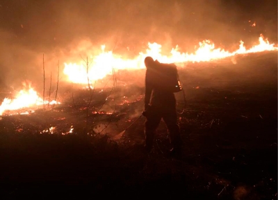 Пожарные потушили несколько очагов природного возгорания в Очамчырском районе