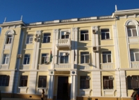 Возбуждено уголовное дело по факту убийства Илоны Пачулия
