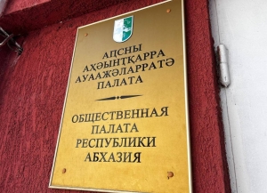 В Общественной палате Абхазии назвали «прорывной» инициативу турецких депутатов по признанию абхазских паспортов