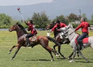 28 - 29 октября на Бзыбском ипподроме состоится чемпионат Абхазии по конному спорту