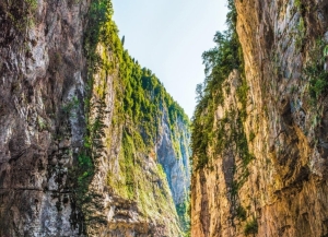 Директор Рицинского парка: участившиеся камнепады в Юпшарском каньоне связаны с высыханием самшита