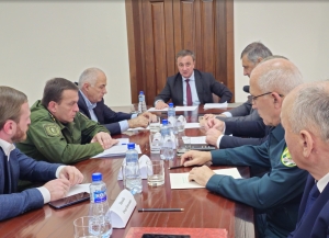 Абхазия готовится к цитрусовому сезону: в Правительстве обсудили экспорт урожая 2026 года