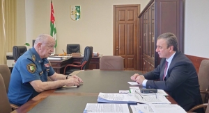 Делба и Квициния обсудили работу МЧС