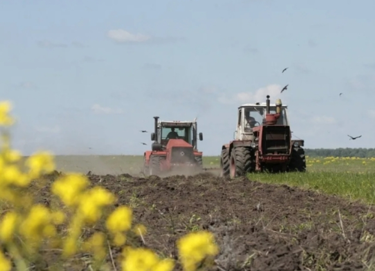 Главный агроном Теваз Ачба: по четырем основным  направлениям будет вестись поддержка сельского хозяйства в 2026 году   