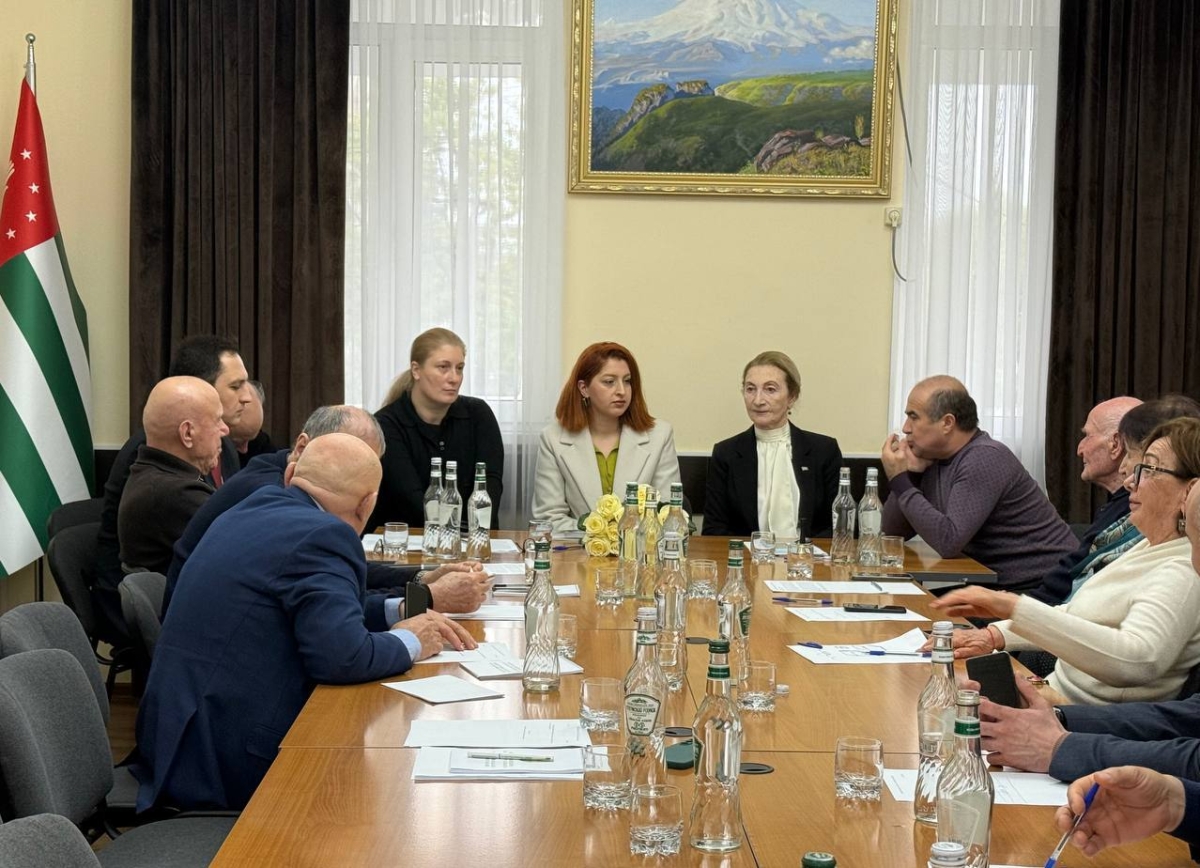 Встреча с Эльчин Адзинба прошла в Общественной палате