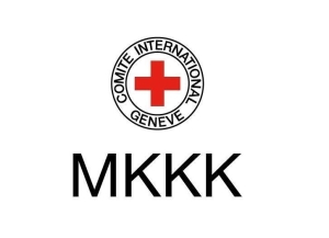 Миссия МККК: 1860 человек числятся пропавшими без вести в связи с вооруженным конфликтом 1992-1993 гг.   