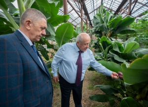 Ученые России и Абхазии расширят сотрудничество в сфере тропического плодоводства