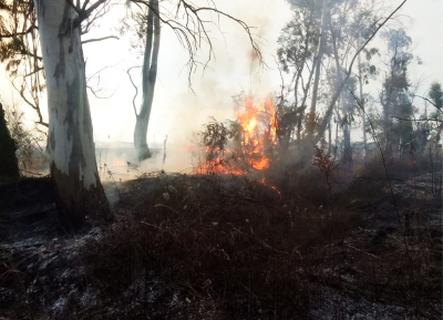 Пожарные ликвидировали очаги возгорания в селах Мыку и Лашкиндар