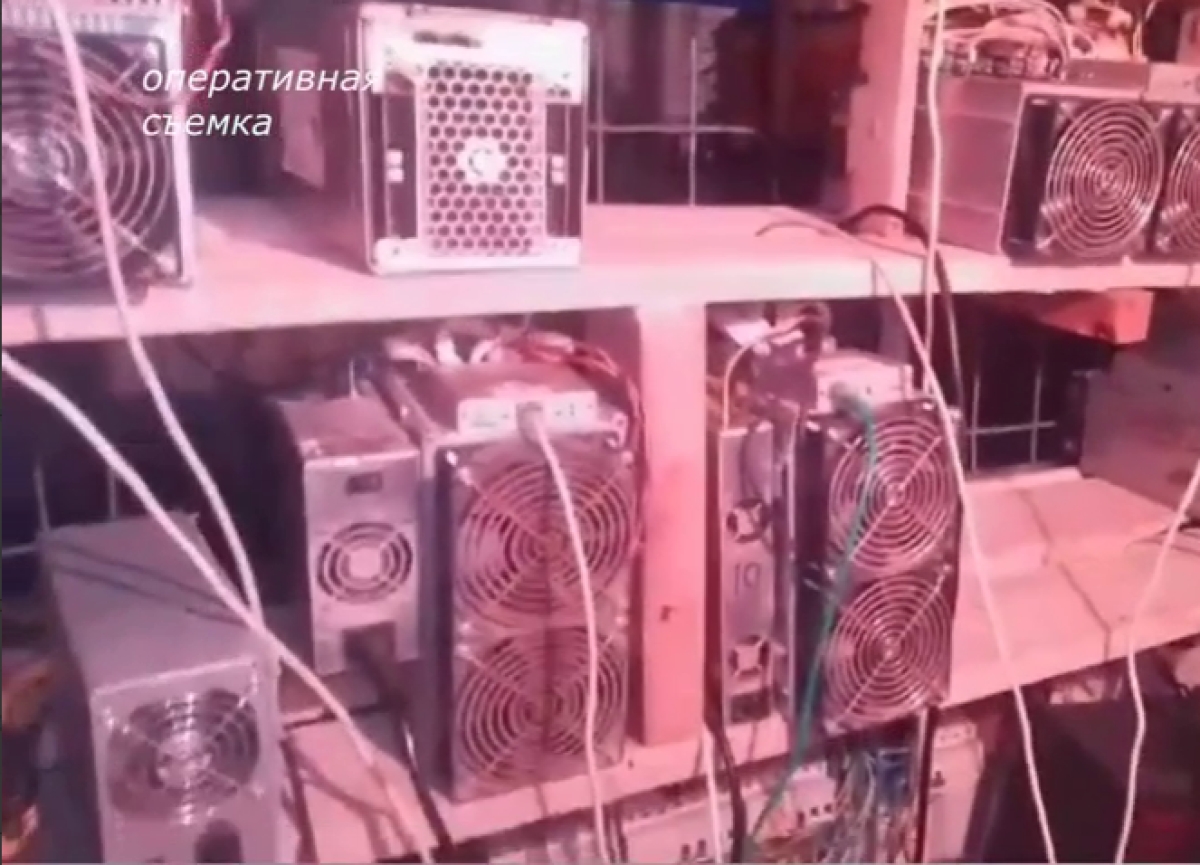 В Пицунде демонтировали  майнинг-ферму с 20 аппаратами по добыче криптовалют