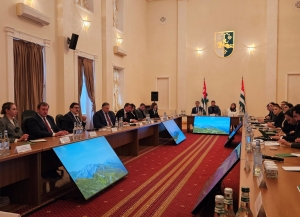 Интеграция науки в госуправление Абхазии: итоги круглого стола