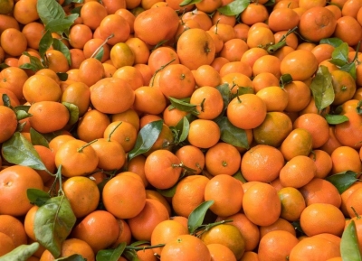 31 нызықь тонн инареиҳаны амандарина Аԥсны иалганы идәықәҵахеит