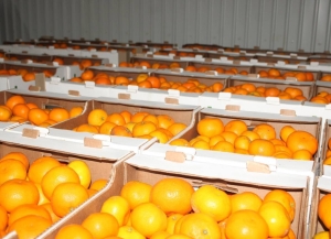 Администрация Гулрыпшского района организовала отправку гуманитарного груза для участников СВО