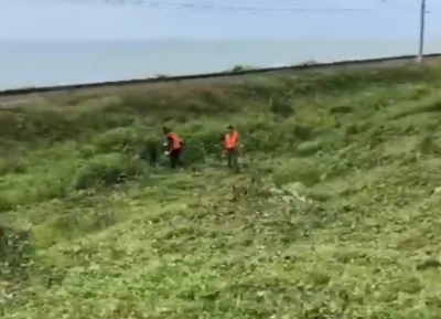 Бригады АЖД расчищают железнодорожные пути на участке Сухум - Псоу