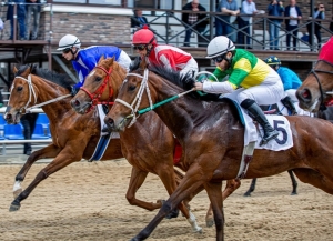 Скакун коневладельца Адгура Пачалия стал победителем Большого Летнего приза на Краснодарском ипподроме