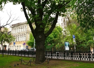 Стихи Пушкина прозвучали на Красной площади на 32-х языках