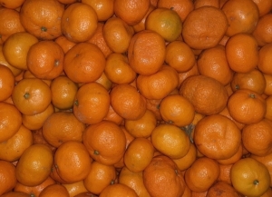 Ацитрустә сезон алагара инаркны 23,5 тонна инареиҳаны амандарина Аԥсны иалганы идәықәҵоуп.