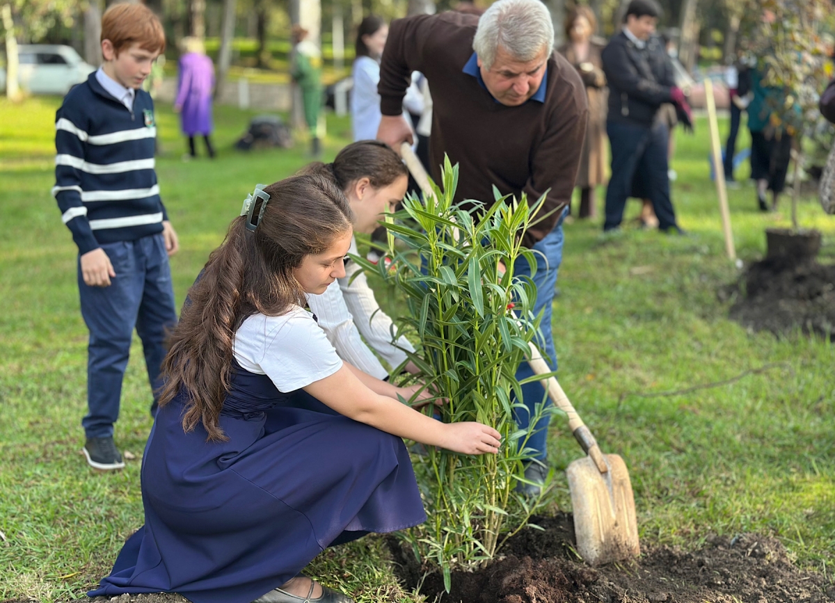 Акция «Аллея добра» открылась в Сухуме
