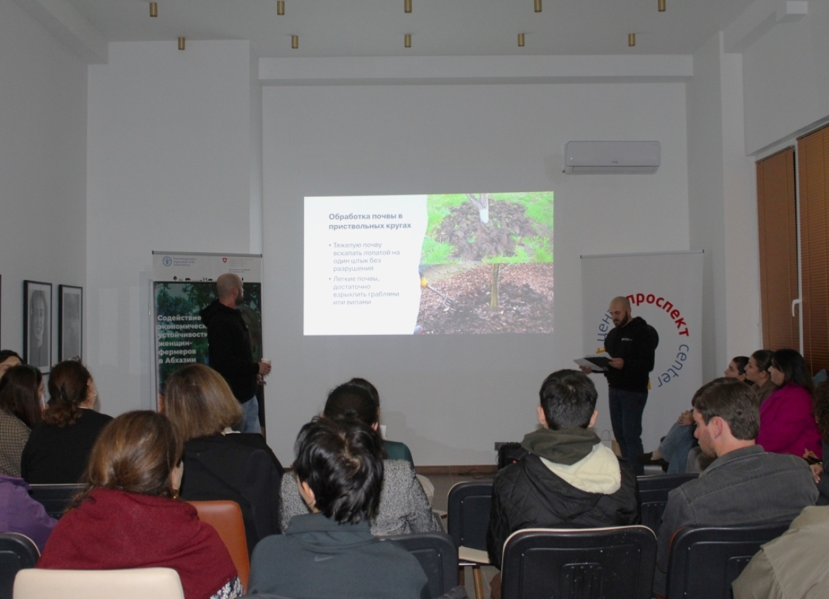 В Сухуме прошёл воркшоп по уходу за садом в осенне-зимний период      