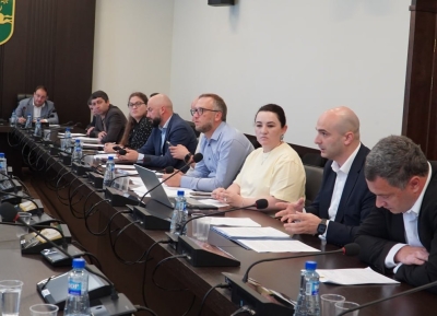 В профильном комитете обсудили предлагаемые изменения в закон о выборах депутатов Парламента