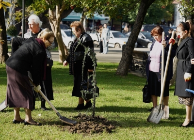 Ахьӡ-Аԥша апарк аҿы хабарда ибжьаӡыз ргәалашәара аллеиа аадыртит.