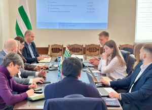 В Абхазии переходят к практическим шагам по модернизации налоговой системы